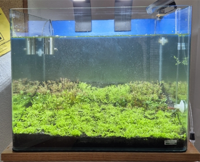 Nano Dry Start Update 5