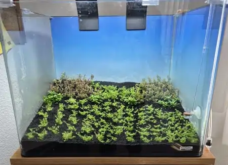 Nano Dry Start Update 2