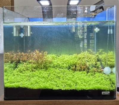 Nano Dry Start Update 6