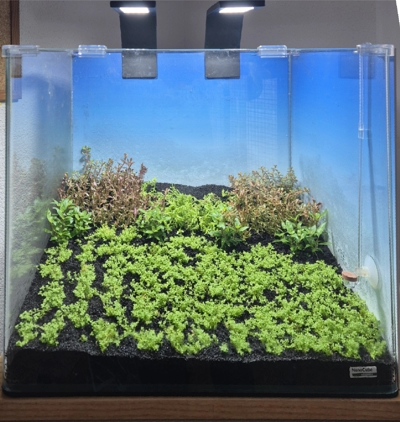 Nano Dry Start Update 3