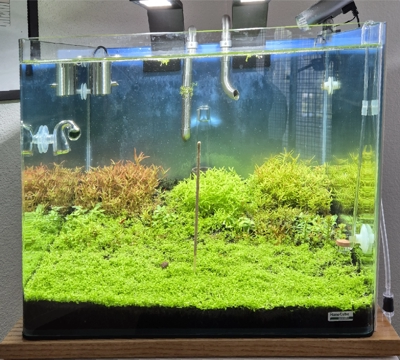 Nano Dry Start Update 7
