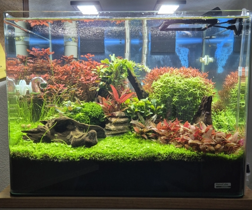 Nano Aquarium