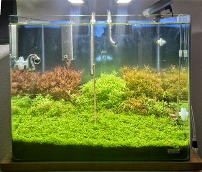 Nano Dry Start Update 7