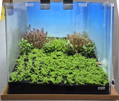 Nano Dry Start Update 4