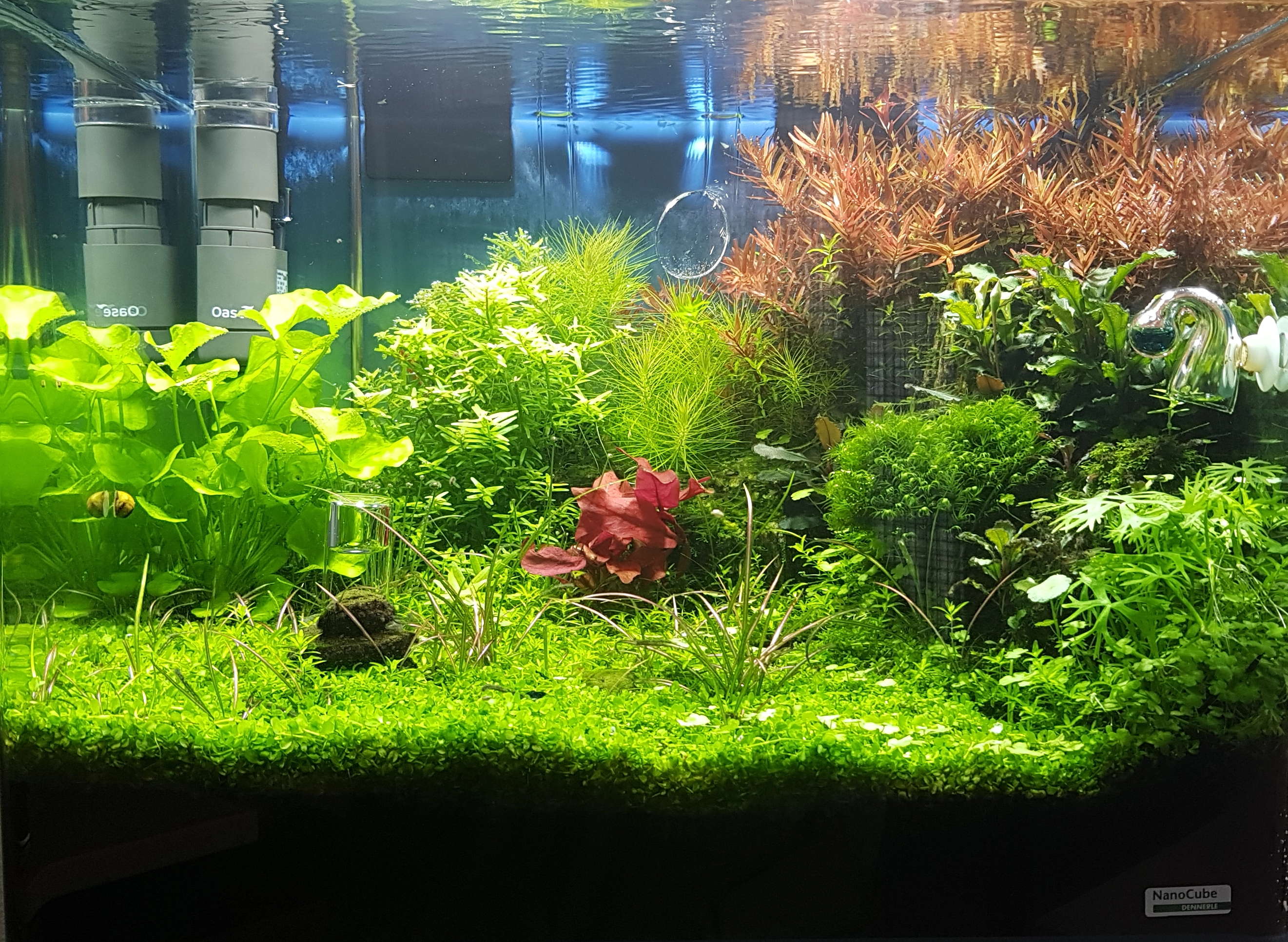 Nano Aquarium