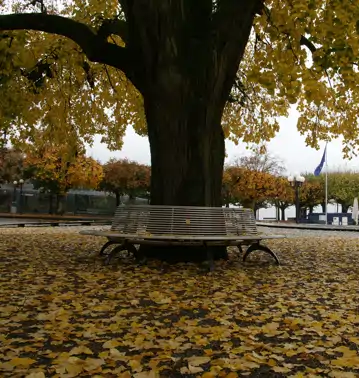 Herbst in Zug