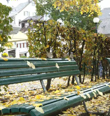 Herbst in Zug