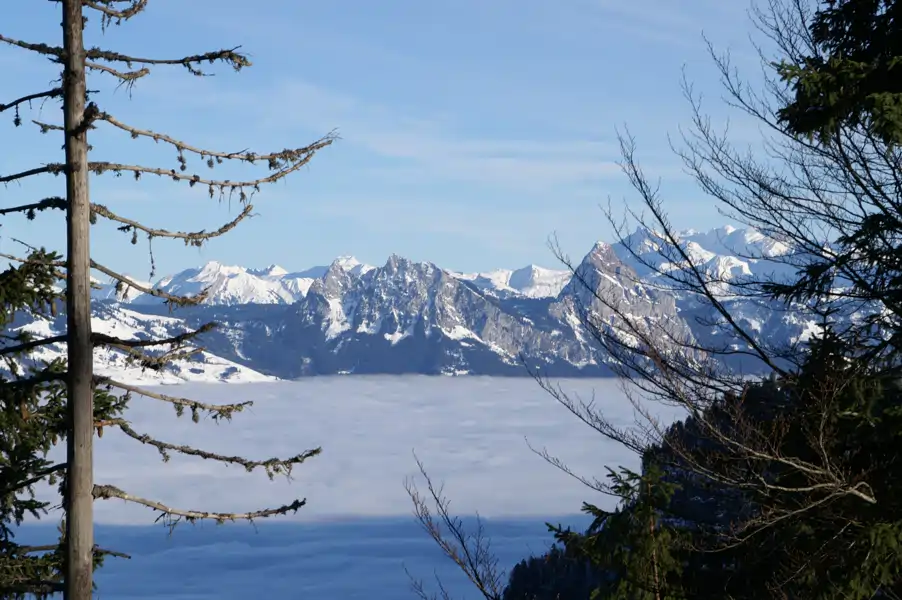 Winterlandschaft auf der Rigi – festgehalten von Barbara