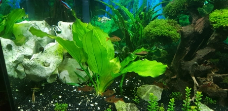 Aquarium