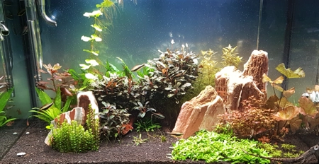 Aquarium