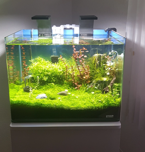 Dennerle Cube 55 Liter