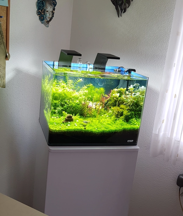 Dennerle Cube 55 Liter
