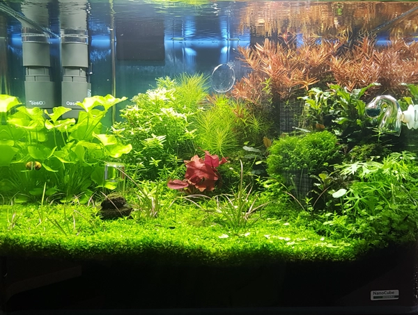 Aquarium
