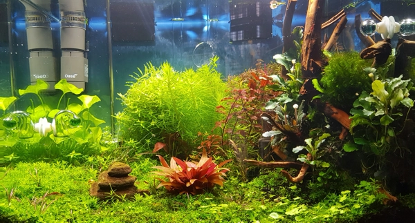 Aquarium