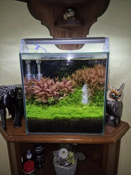 15 Liter Aquarium