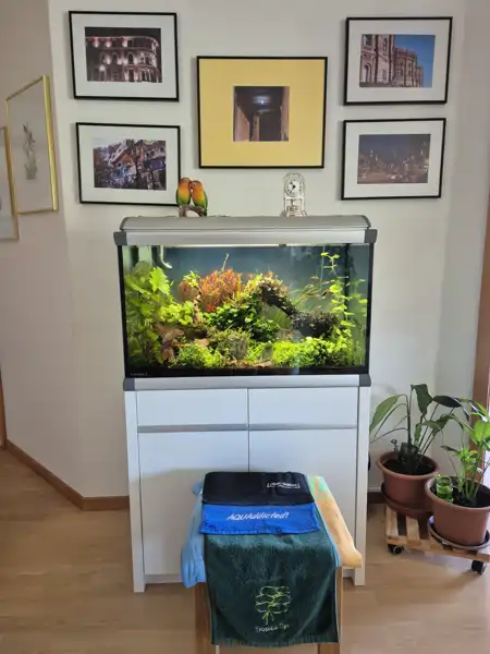 Aquarium MarkII Juni 2025