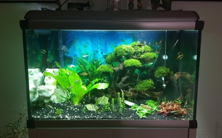 Aquarium MarkII
