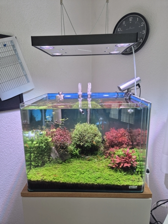 Aquarium Natur 90 P August 2026