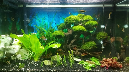 Aquarium