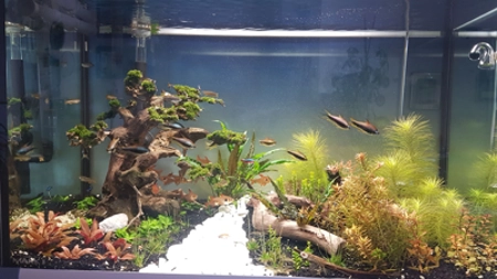Aquarium