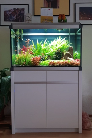 Aquarium MarkII mit Unterschrank