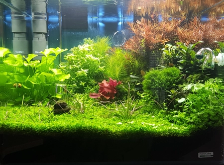 Aquarium