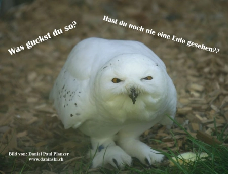 Bild Gedanken
