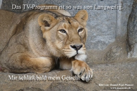 Bild Gedanken
