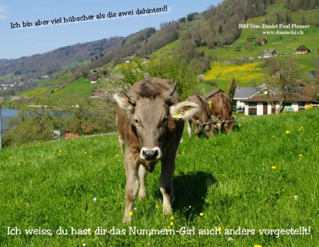 Bild Gedanken
