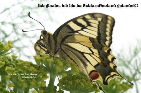 Bild Gedanken