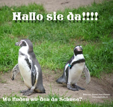 Bild Gedanken
