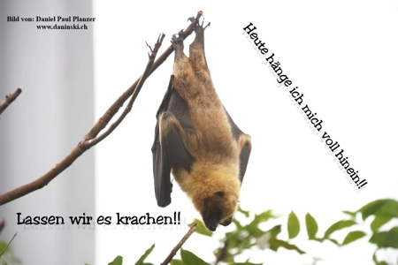 Bild Gedanken