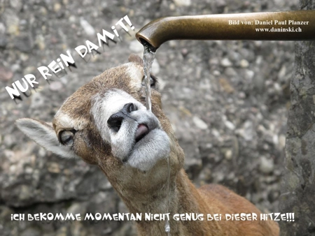 Bild Gedanken