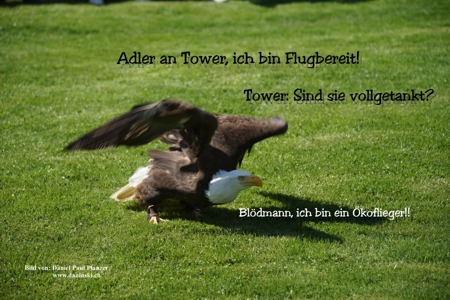 Bild Gedanken