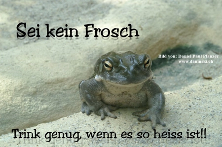 Bild Gedanken