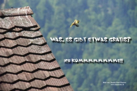 Bild Gedanken