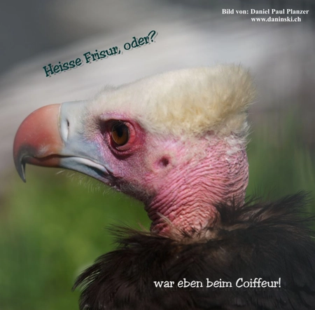 Bild Gedanken