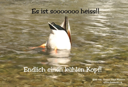 Bild Gedanken